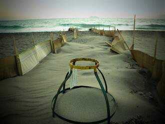 Ochránci želv staví u hnízd s vejci koridory, aby želvám usnadnili cestu do bezpečí moře.