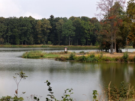 Naučná stezka Kolem zámeckého rybníka měří 2,4 km a má 7 zastavení. Kromě úvodních tabulí je věnována bezobratlým živočichům, rybám, rostlinám, mokřadním olšinám a hlodavcům.