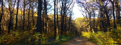 Obora Hvězda na podzim Foto: Zdeňka Kováříková Ekolist