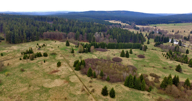 Šest lip srdčitých vysadily v těchto dnech Vojenské lesy a statky jako připomínku  tří obcí v srdci Brd, které musely ustoupit rozšiřování vojenské střelnice před 80 lety.