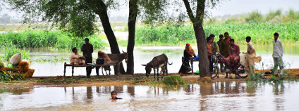 Záplavy v Pakistánu Foto: Asianet-Pakistan / Shutterstock.com