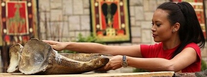 Foto: Hynek Glos / Zoo Dvůr Králové