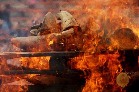 Dvorská zoo se aktivně podílí na kampani proti nelegálnímu obchodu s rohy nosorožců a slonovinou. Loni v září zoo spálila přes 50 kilogramů rohoviny nosorožců