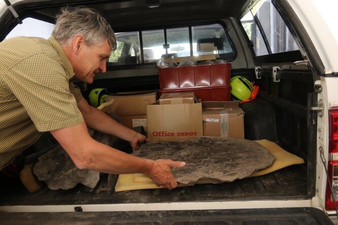 Vědci z Národního muzea si odvezli výběr z exponátů, které horníci střádali řadu měsíců. "Nejlepší, co jsme si mohli vybrat, jsou fosilizované kmeny z původních rašelinišť. Jedná se o různé typy stromů, přednostně o tisovce. Většinou jsou odhadovaného stáří dvacet osm milionů let," uvedl vedoucí oddělení paleontologie Národního muzea Jiří Kvaček.