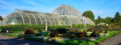 foto: rmac8oppo / Pixabay