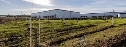 Založený remízek u haly Panattoni Foto: Panattoni