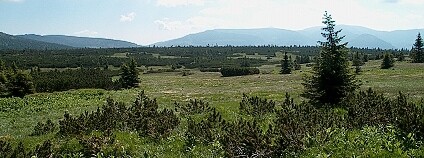 foto:  Jan Stejskal / Ekolist.cz