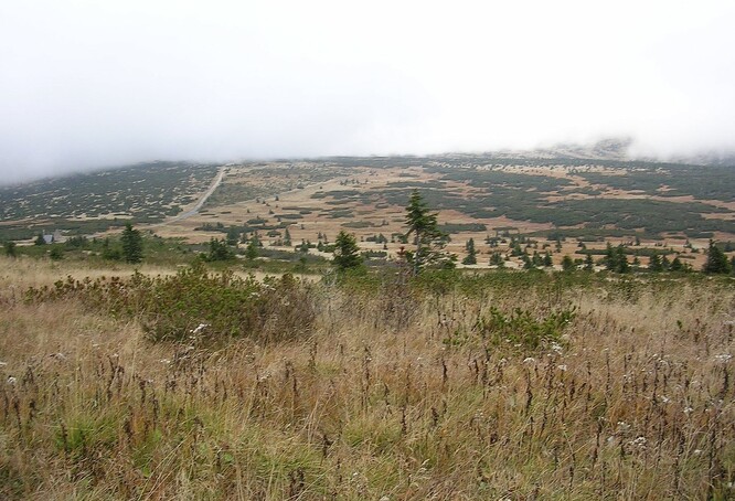 Nejvýznamnějším typem mokřadů v Krkonoších jsou rašeliniště. V Krkonoších jsou k vidění dva typy rašelinišť. Úpskému nebo Pančavskému rašeliništi se říká vrchoviště. Lesní rašeliniště je na Černé hoře.