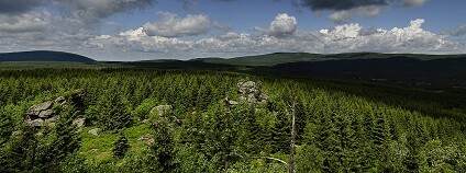 Jizerské hory Foto: mtajmr pixabay