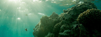 Papahanaumokuakea Foto: USFWS - Pacific Region / Flickr.com