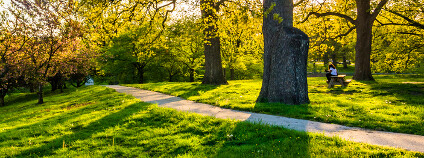 Městský park Foto: Jon Bilous / Shutterstock.com