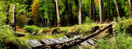 Patagonie Foto: Stuck in Customs/ Flickr