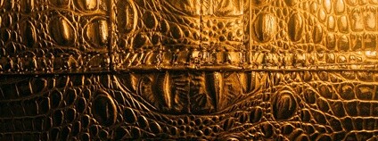 Krokodýlí kůže Foto: Piqsels