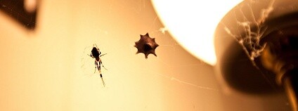 Foto: Angus Veitch / Flickr