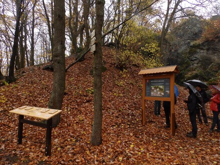 Výrazný zalesněný vrch Baba poblíž Mladé Boleslavi, který je už od roku 1950 přírodní rezervací, se od soboty může pyšnit novou naučnou stezkou se zajímavým pojetím, které zaujme dospělé i děti.