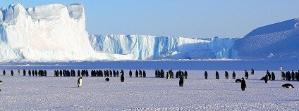 foto:  MemoryCatcher / Pixabay