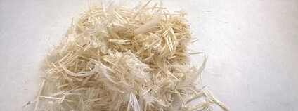 Zpracování odpadního peří pro růst rostlin a čištění půdy Foto: Národního centra kompetence BIOCIRKL