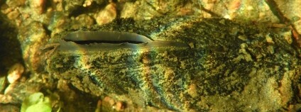 Foto: Jana Slezáková / Beleco