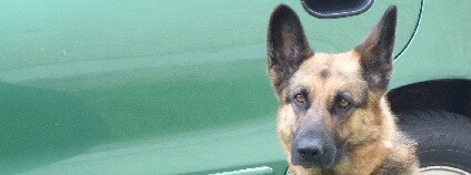 Ilustrační foto: Martin Singr Ekolist.cz