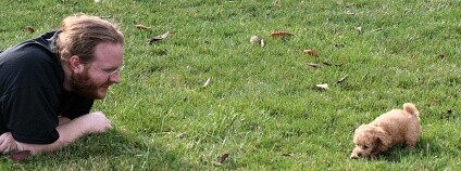 pes a muž Foto: Jeremy Duff Flickr