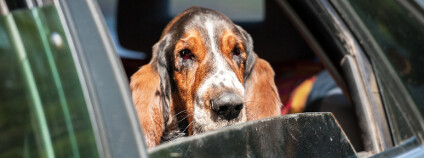 Foto: Ritta Rochmarjova / Shutterstock