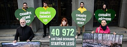 Výzva Greenpeace za záchranu starých lesů před MZe Foto: Barbora Sommers Greenpeace