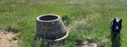 Foto:  Vítek Rous / Grania