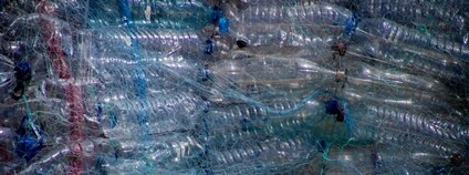 Pet lahve Foto: Magda Ehlers Pexels