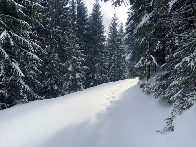 Podle předpovědi v nejbližších dnech zasáhne Jihočeský kraj oteplení. Slavík uvedl, že meteorologové očekávají oblevu i na šumavských vrcholcích.