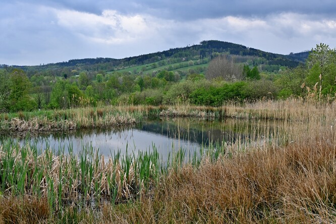Písečná - terénní šetření, jaro 2025. Písečná - terénní šetření, jaro 2025.