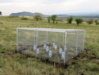 Každému syslovi vyhloubili ochránci přírody asi půlmetrovou noru, sysla do ní vložili i se zrním a otvor zadělali pet lahví. Podle Větrovcové by jinak hlodavci hned utekli. Uzavřením vchodu jsou syslové donuceni vyhrabat si vlastní noru, kterou začnou považovat za vlastní.