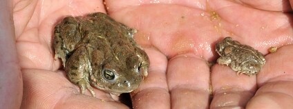 Foto: Radomír Studený / Liberecký kraj