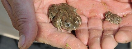 foto: www.kraj-lbc.cz