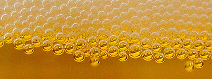 foto: ion-bogdan dumitrescu / Flickr.com