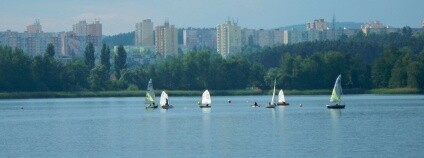 Jachtaři vodní rostliny moc rádi nemají...