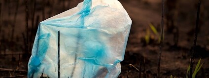 Foto: Viet Gallery / Flickr