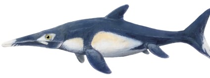 Ichtiosaurus. Repro: Kniha Dinosaurs in Australia/Uppsalská univerzita