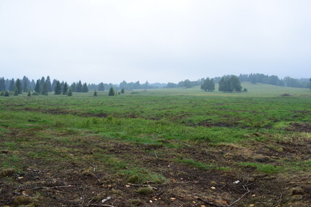 Na snímku plocha po vyřezávce.