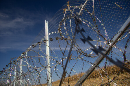 Hraniční bariéra znamená nebezpečí zejména pro šelmy, vlky a medvědy, kteří se pohybují na území obou států. A nejen ty. Podle lovců už nyní mnoho jelenů a laní přichází o život kvůli tomu, že se zapletou do ostnatého drátu