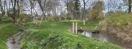 Lesy ČR upravily úsek potoka Hruškovice na Hodonínsku Foto: Lesy ČR