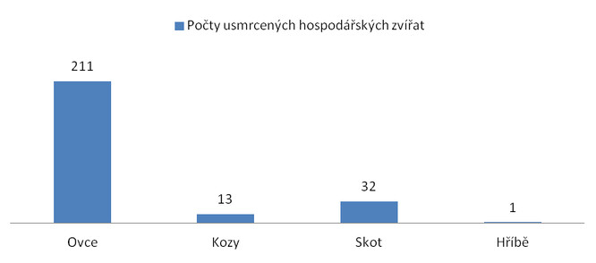 Vlci na Broumovsku v největší míře napadali ovce.