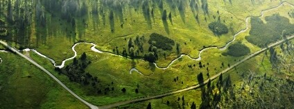 Foto: Jaroslav Vogeltanz / Naše příroda