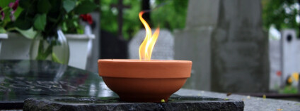 foto: udra11 / Shutterstock