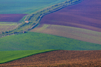 Jedním témat Jihomoravského kraje je zadržení vody v krajině. Ilustrační snímek.