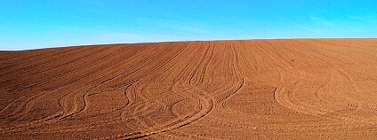 půda pole Foto: Larry Flickr