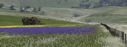 Kulturní krajina Foto: denisbin Flickr.com