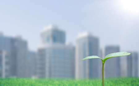 Vzorky půdy z parků, zahrádek a zahrad v městských oblastech byly na živiny podstatně bohatší než stávající orná půda