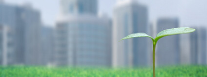 Pole ve městě Foto: MC_PP / Shutterstock