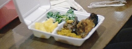 Foto: Annie Spratt / Unsplash