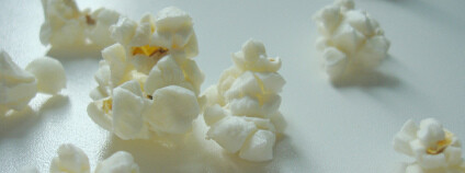 Při volbě netradičního cvičného materiálu hrálo roli, že je biodegradabilní a neškodný. Foto: Ayelie / Flickr.com